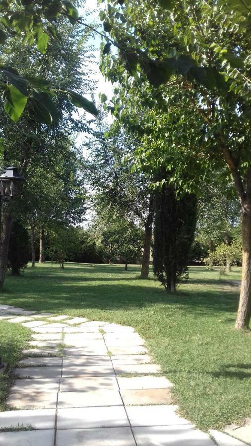 Le Tamerici Guest House Principina Terra Bagian luar foto